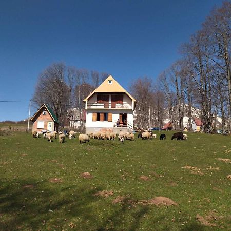 Villa Kolibri Žabljak Esterno foto