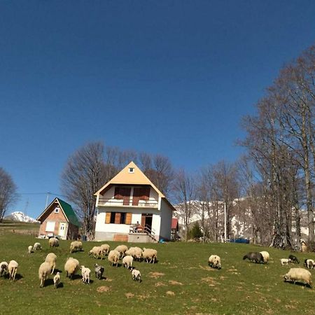 Villa Kolibri Žabljak Esterno foto