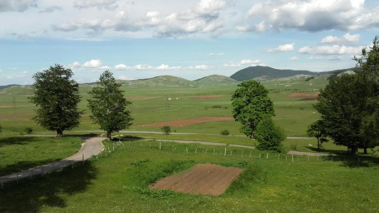 Villa Kolibri Žabljak Esterno foto