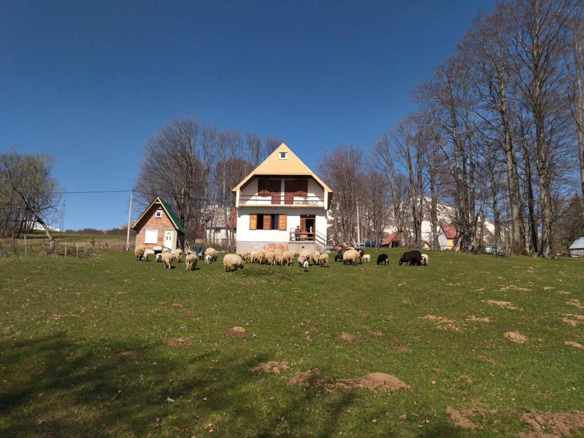 Villa Kolibri Žabljak Esterno foto