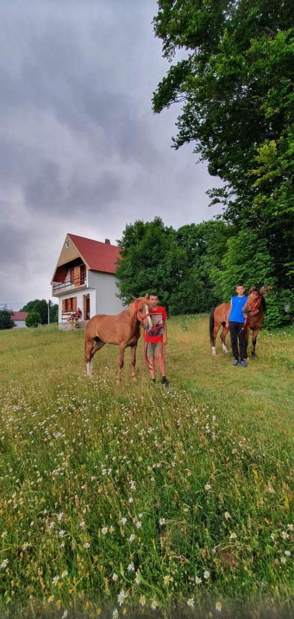 Villa Kolibri Žabljak Esterno foto