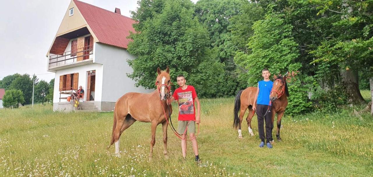 Villa Kolibri Žabljak Esterno foto